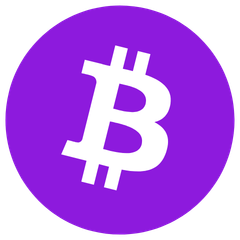 Pay with Bitcoin: payment icon - Cryptohall24