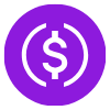 USDC (USD Coin) logo as payment method - Cryptohall24