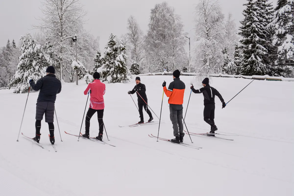 Fem personer i vinterlandskap som åker längdskidor