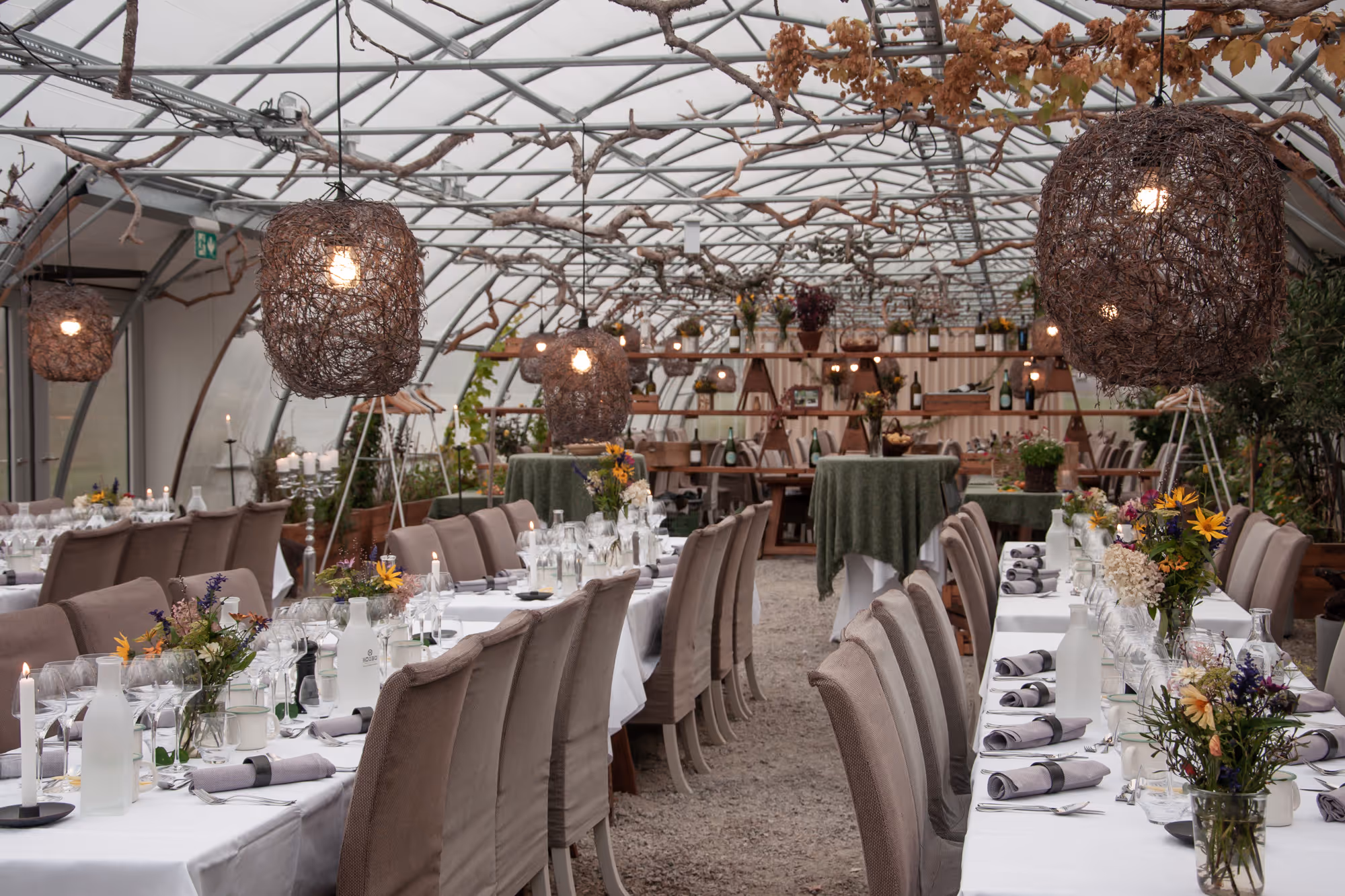 Växthus med vita dukade bord, stolar, hängande ljus och blommor för en fest.