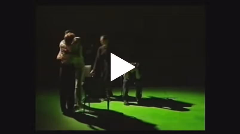 Play the video for the Crocodile Looking at Birds project