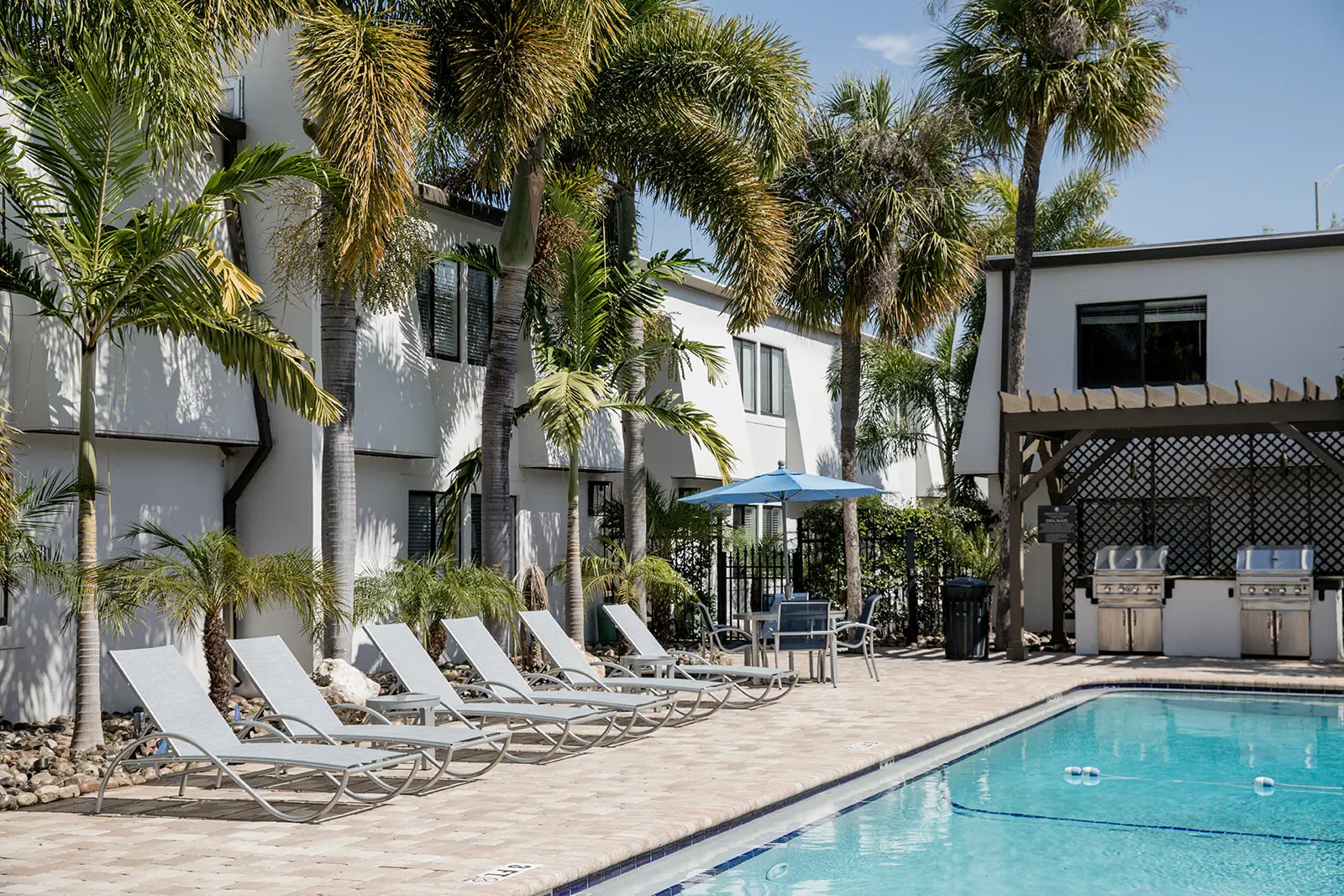 Chaise lounge chairs pool side with palm trees and white apartment building in the background.