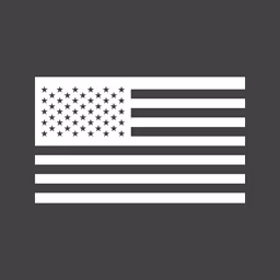 United States flag icon