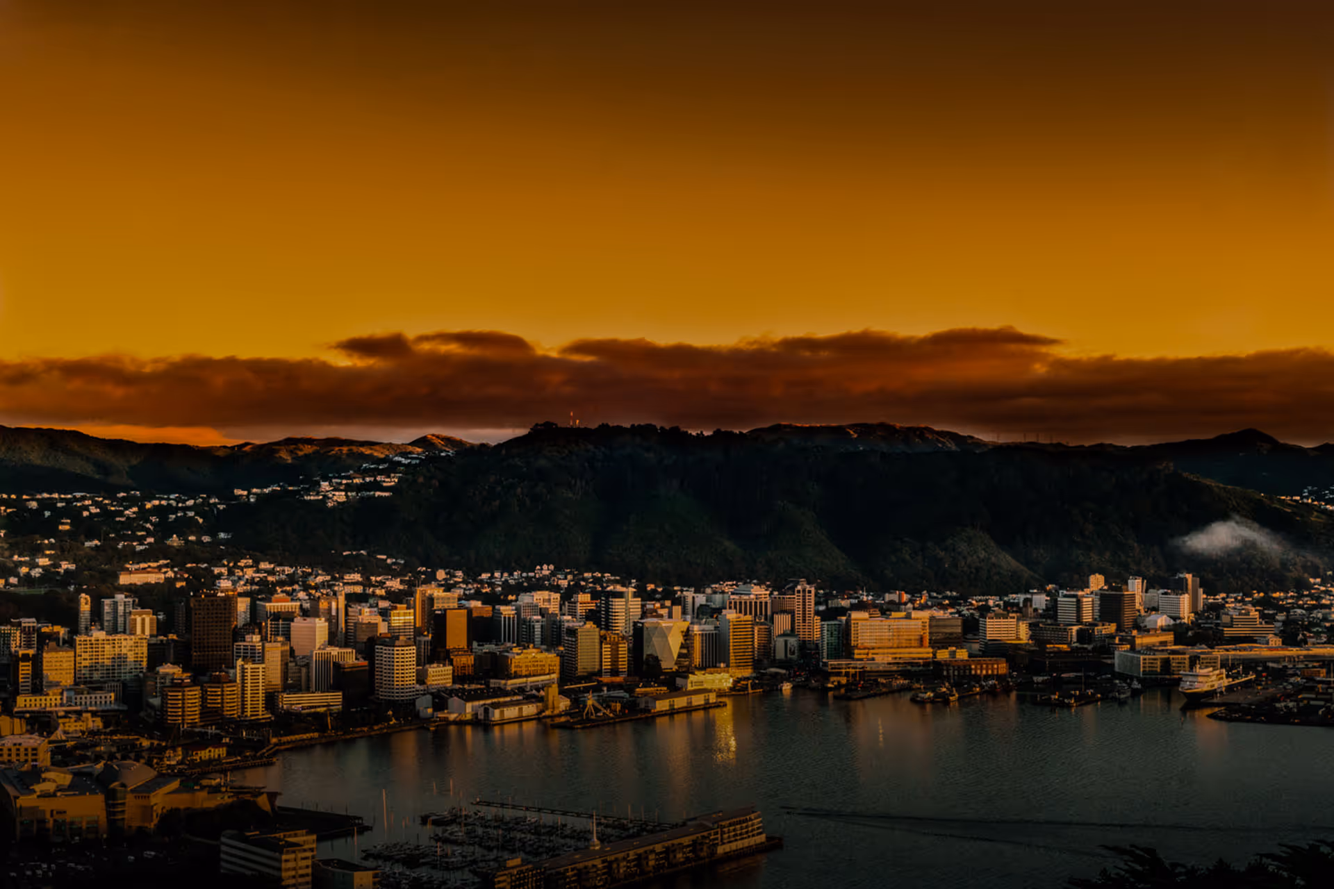 Wellington city at sunrise