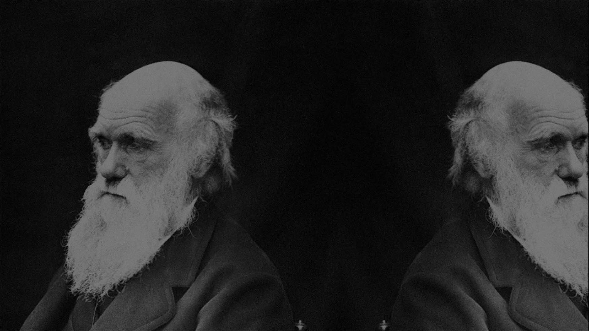 Charles Darwin University Thumbnail 