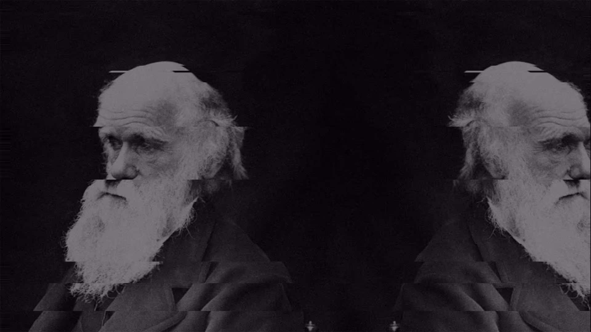 Charles Darwin University thumbnail 3