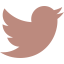 Link to Saltus Developments Twitter account