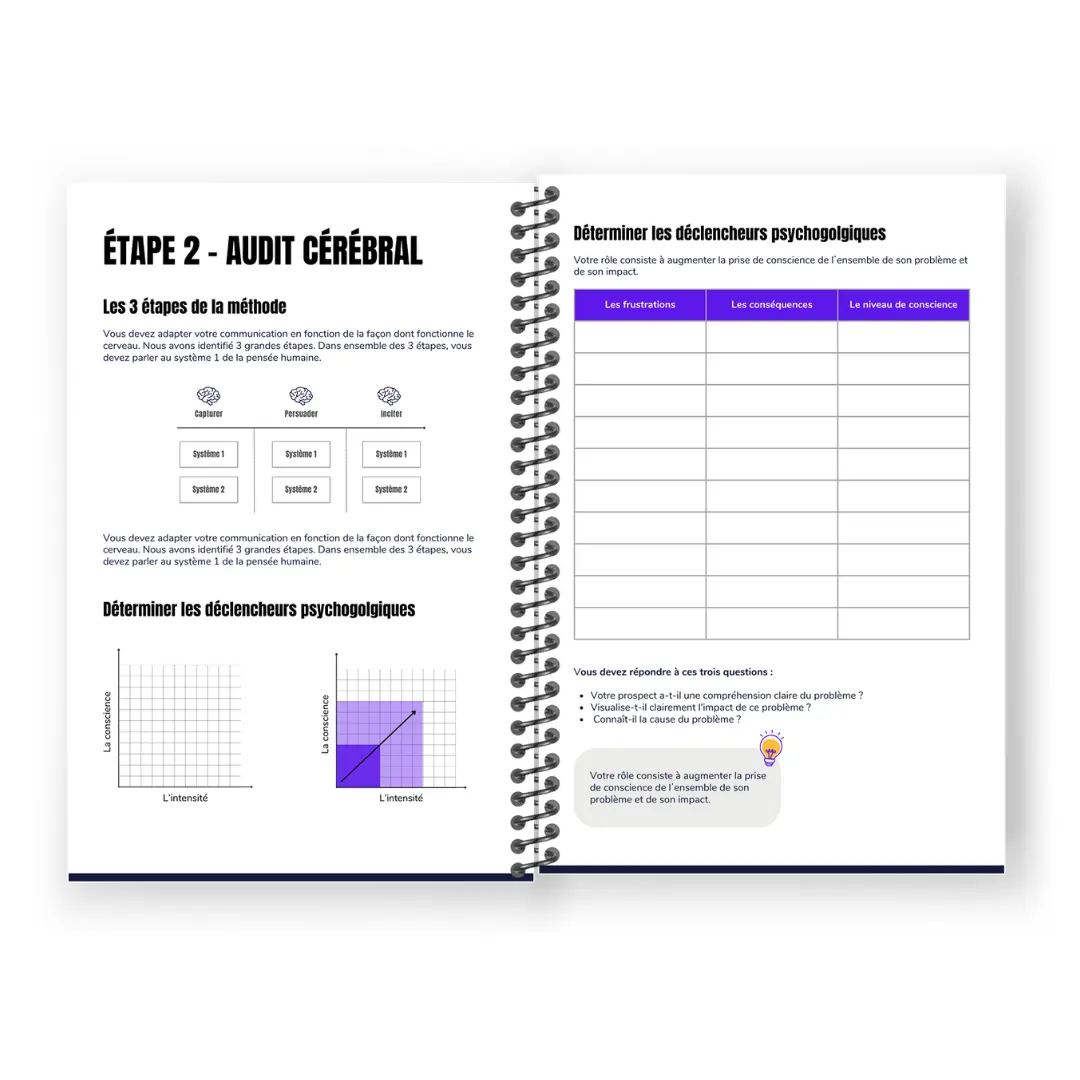 Audit comportemental neuromarketing étape 2 : grille d'analyse des déclencheurs psychologiques et de la communication centrée sur le consommateur.