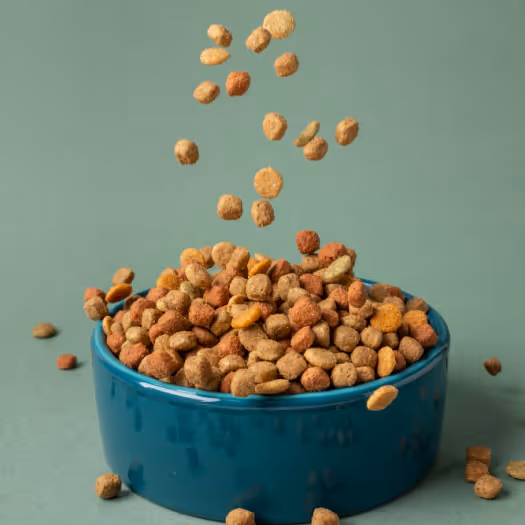 ShipNetwork using SmartFreight