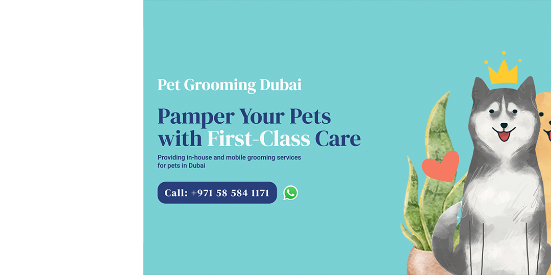 Al hayat veterinary clinic website design