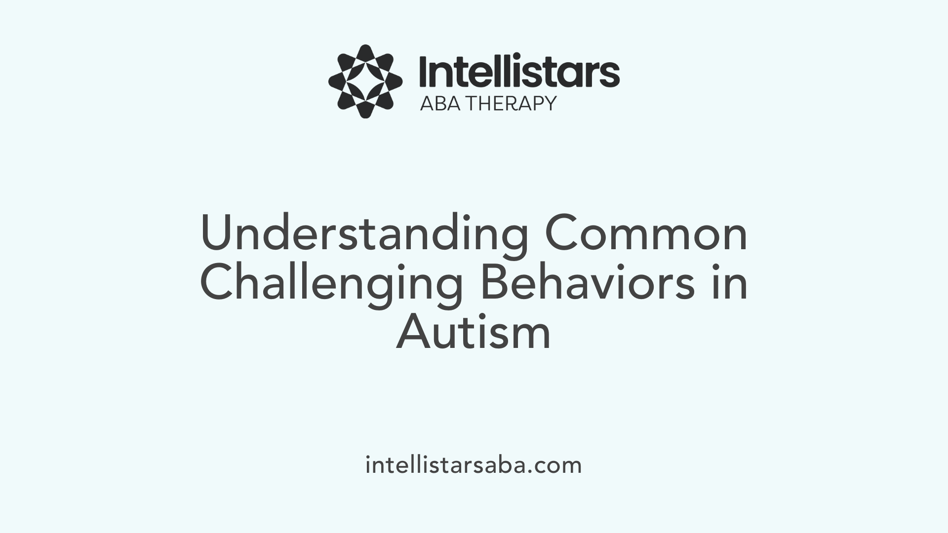 Understanding Common Challenging Behaviors in Autism