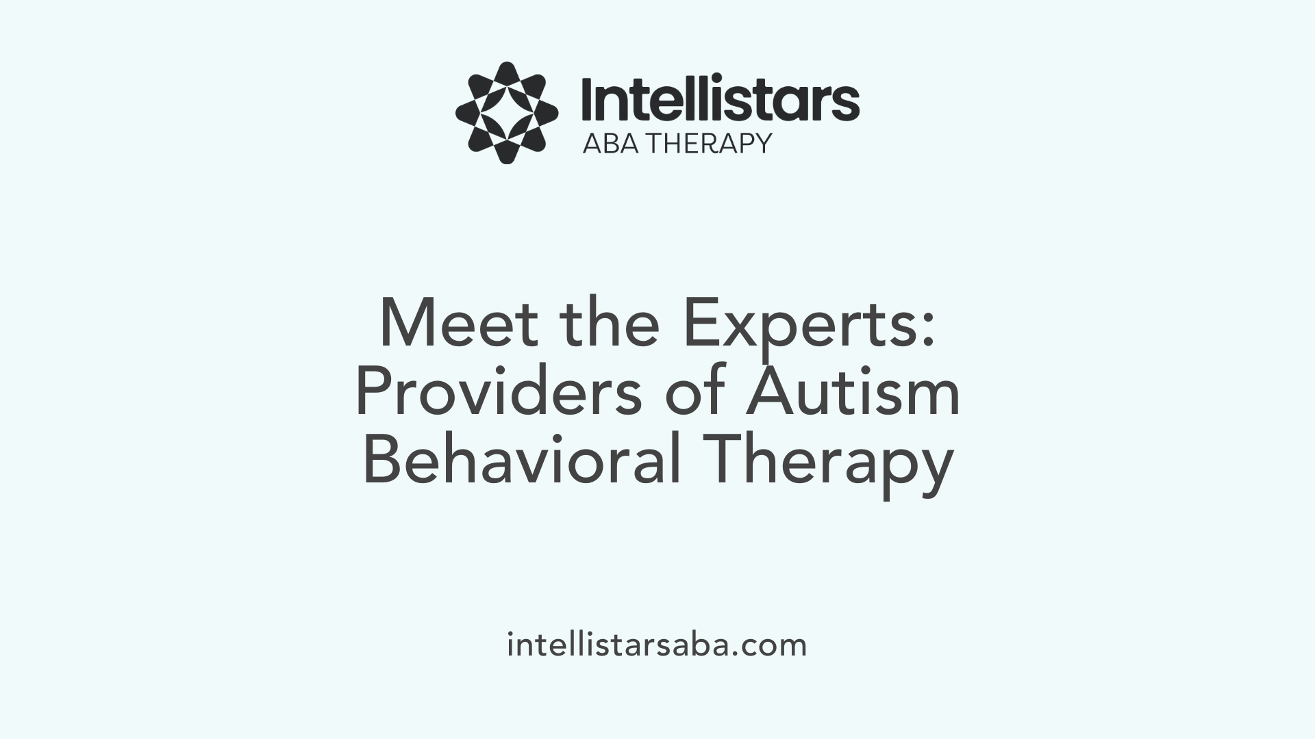 Meet the Experts: Providers of Autism Behavioral Therapy