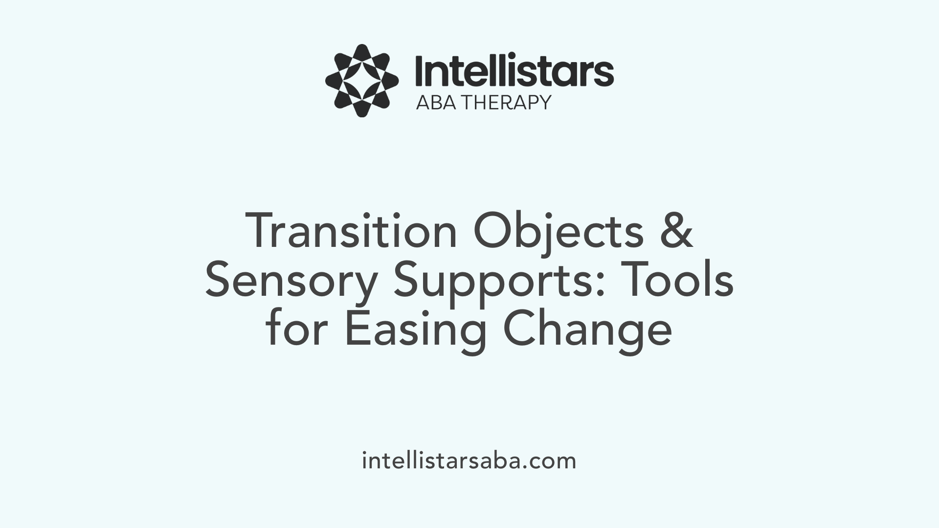 Transition Objects &amp; Sensory Supports: Tools for Easing Change