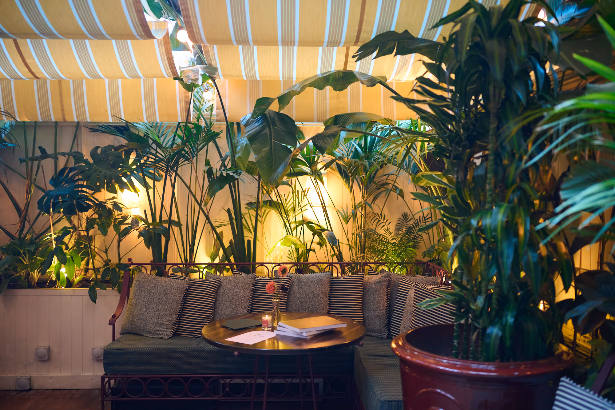 Outdoor setting with bright striped valances adding shade to elegant terrace with palm trees and elegant couches