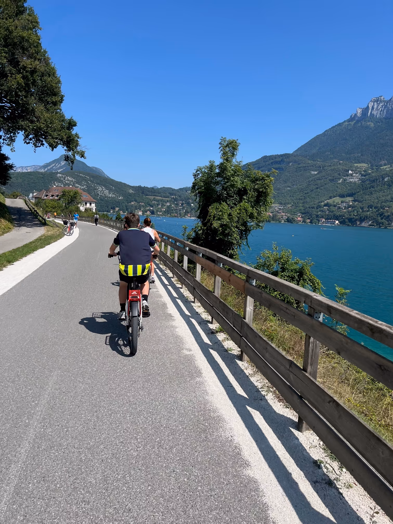 Man cycling on road in sunny landscape with sea