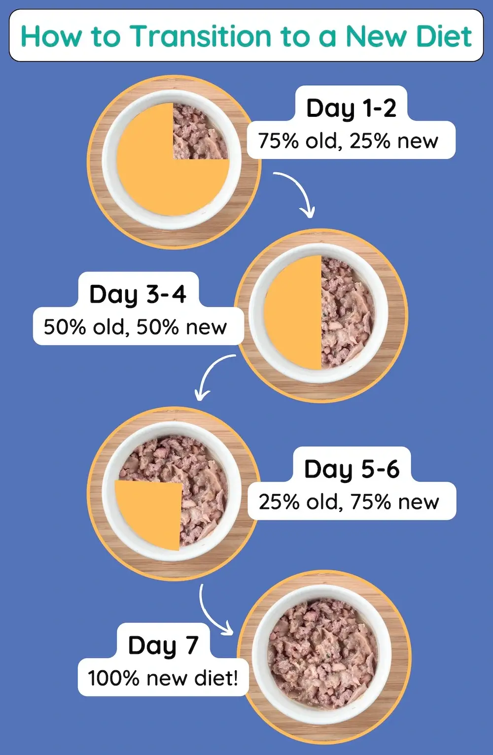 How to Get a Cat to Eat Wet Food: Vet Shares 15 Best Tips
