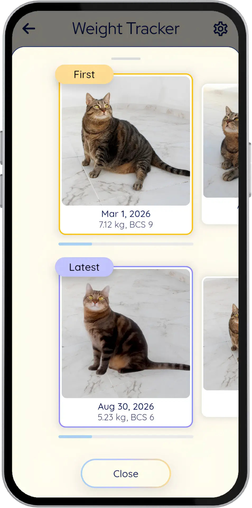 Comparison of latest and most recent cat weight progress photos
