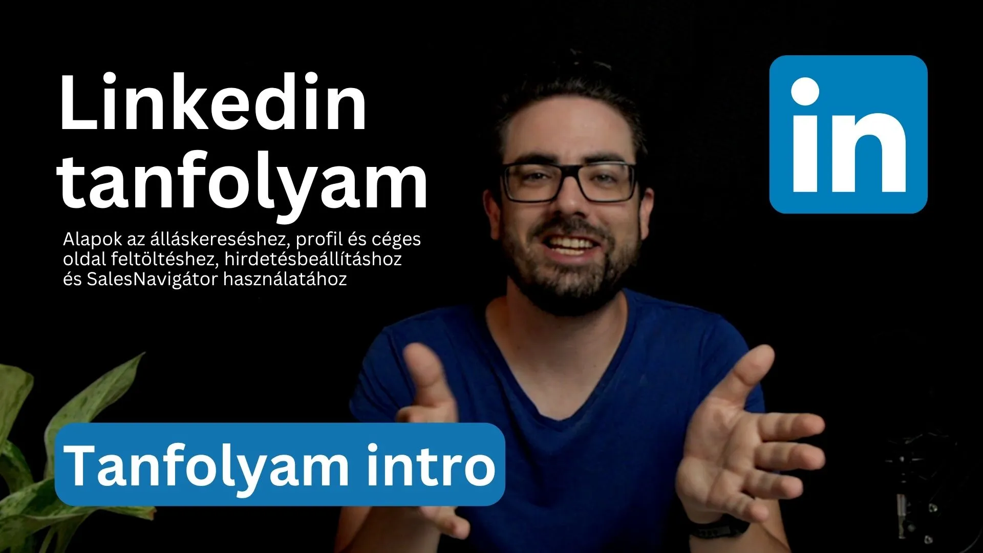 Linkedin tanfolyam - bevezető álláskersőknek (4)