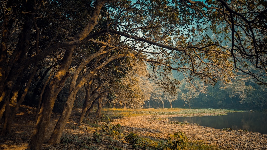 Nature and Tranquility