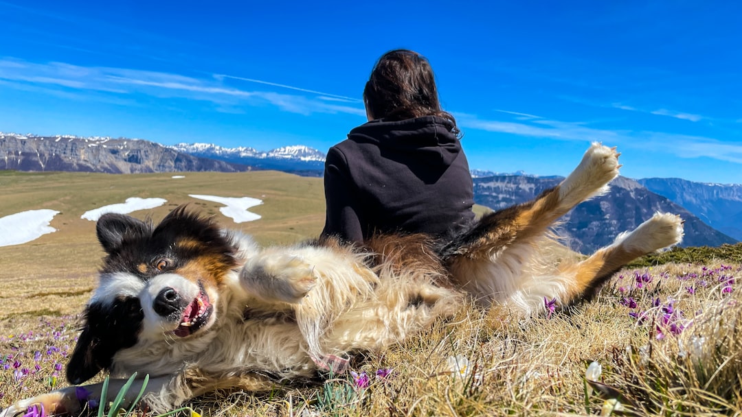 Relaxation techniques