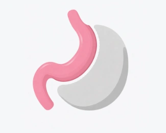 Illustration showing stomach size after gastric sleeve surgery and portion control.