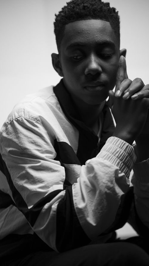 A cute hedgehog is here