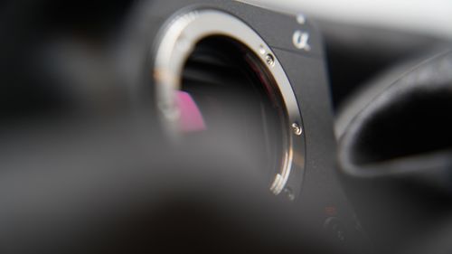 A cute hedgehog dropped the ball.