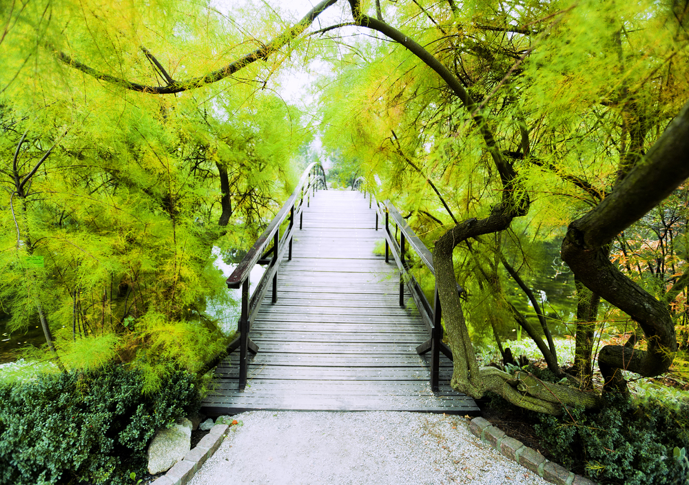 Reimagining Retirement: Embracing Your Next Chapter with Clarity and Purpose