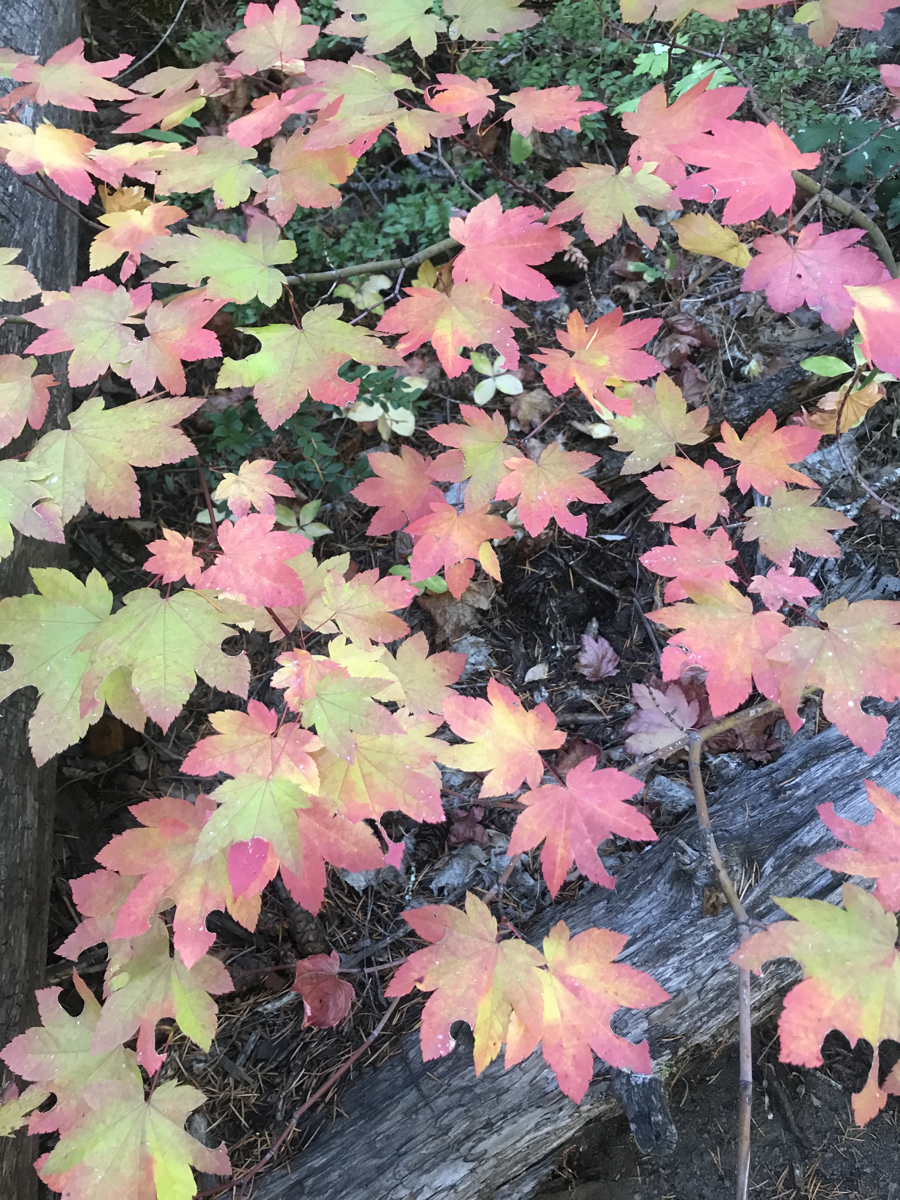 Catching Up With Yourself: Aligning Your Values and Priorities With Who You Are Now