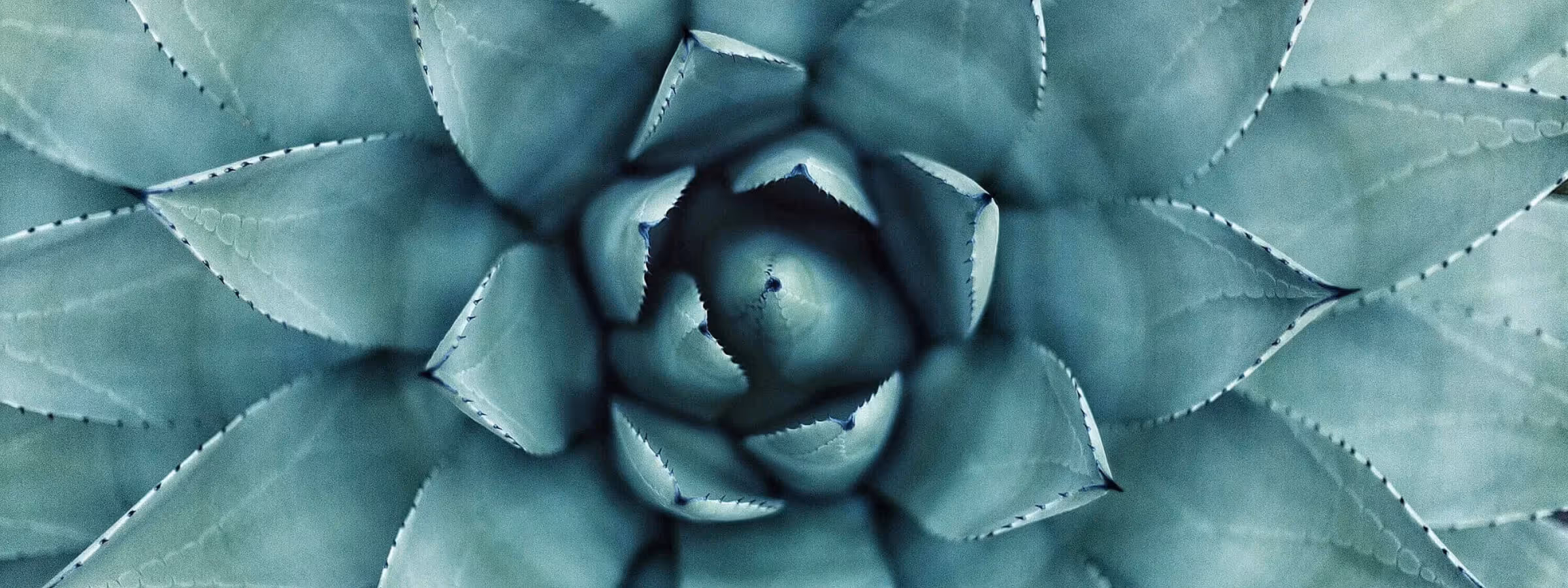 Maximiser l’impact visuel avec les ratios d’images : Guide pratique pour la conception d’interfaces