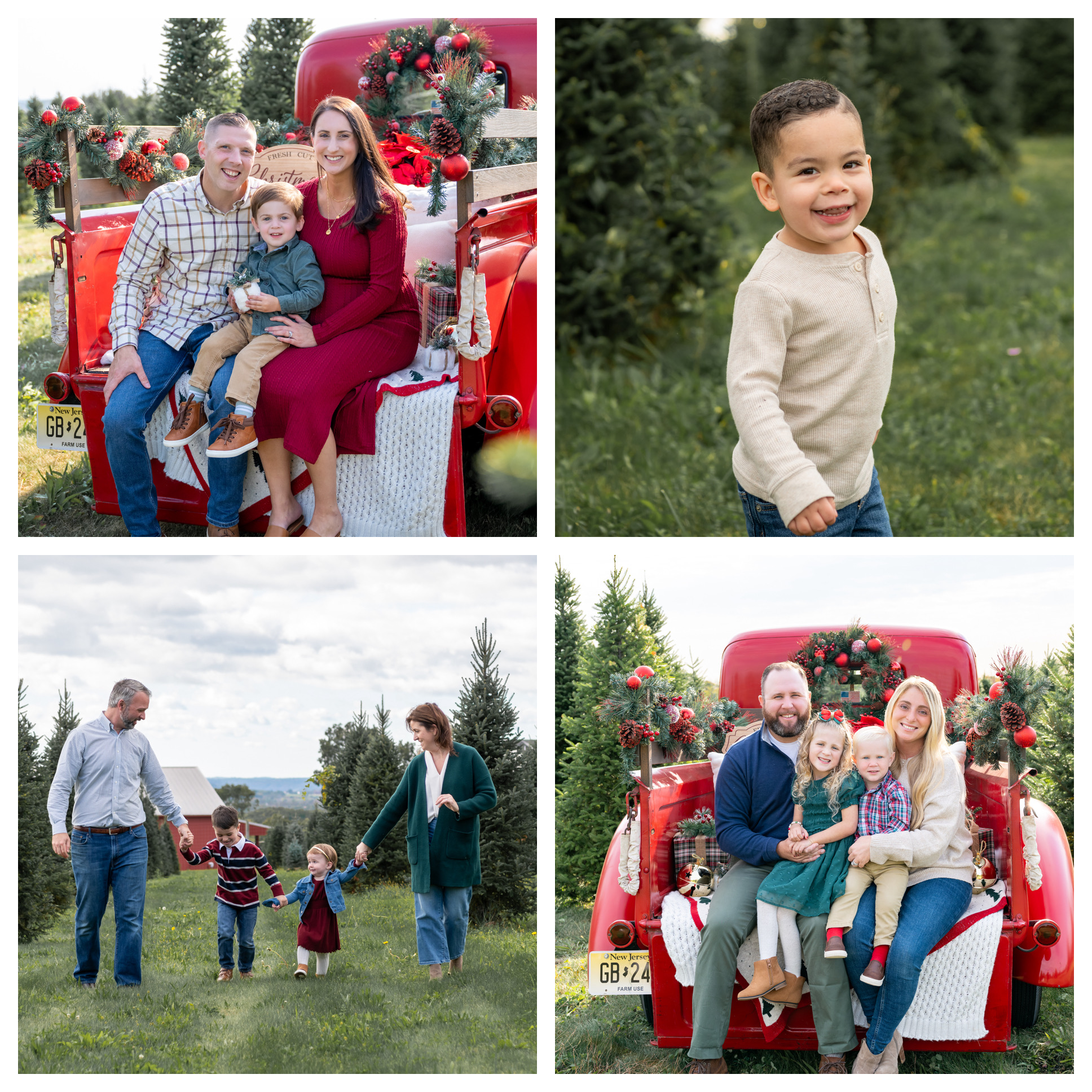 Tree Farm Mini Photo Session