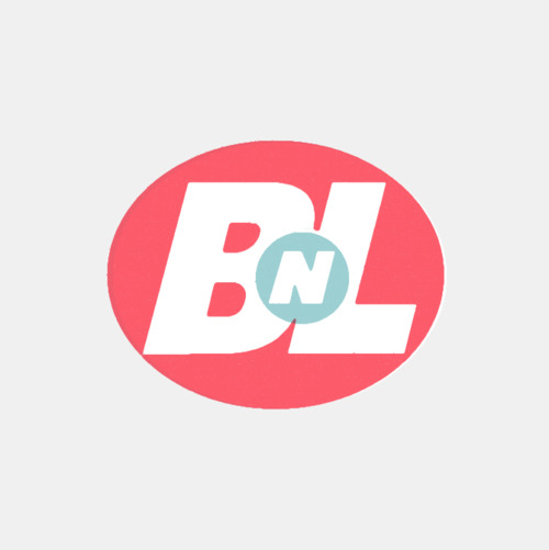logo entreprise bnl