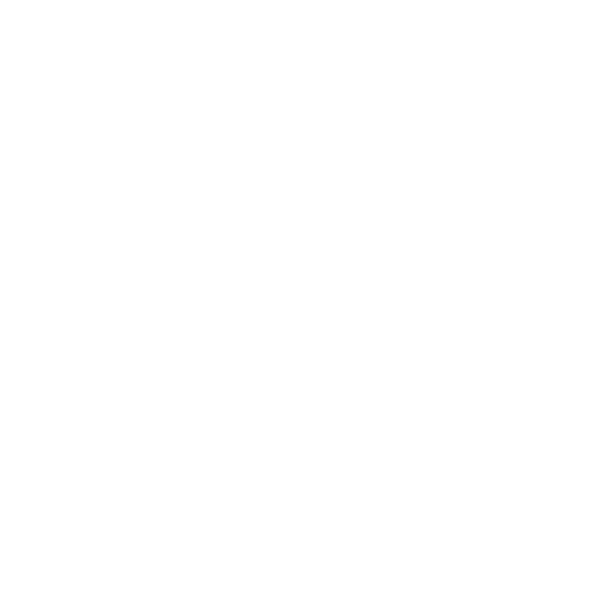 Borthwick & Butler Established 1867 Inverell New South Wales