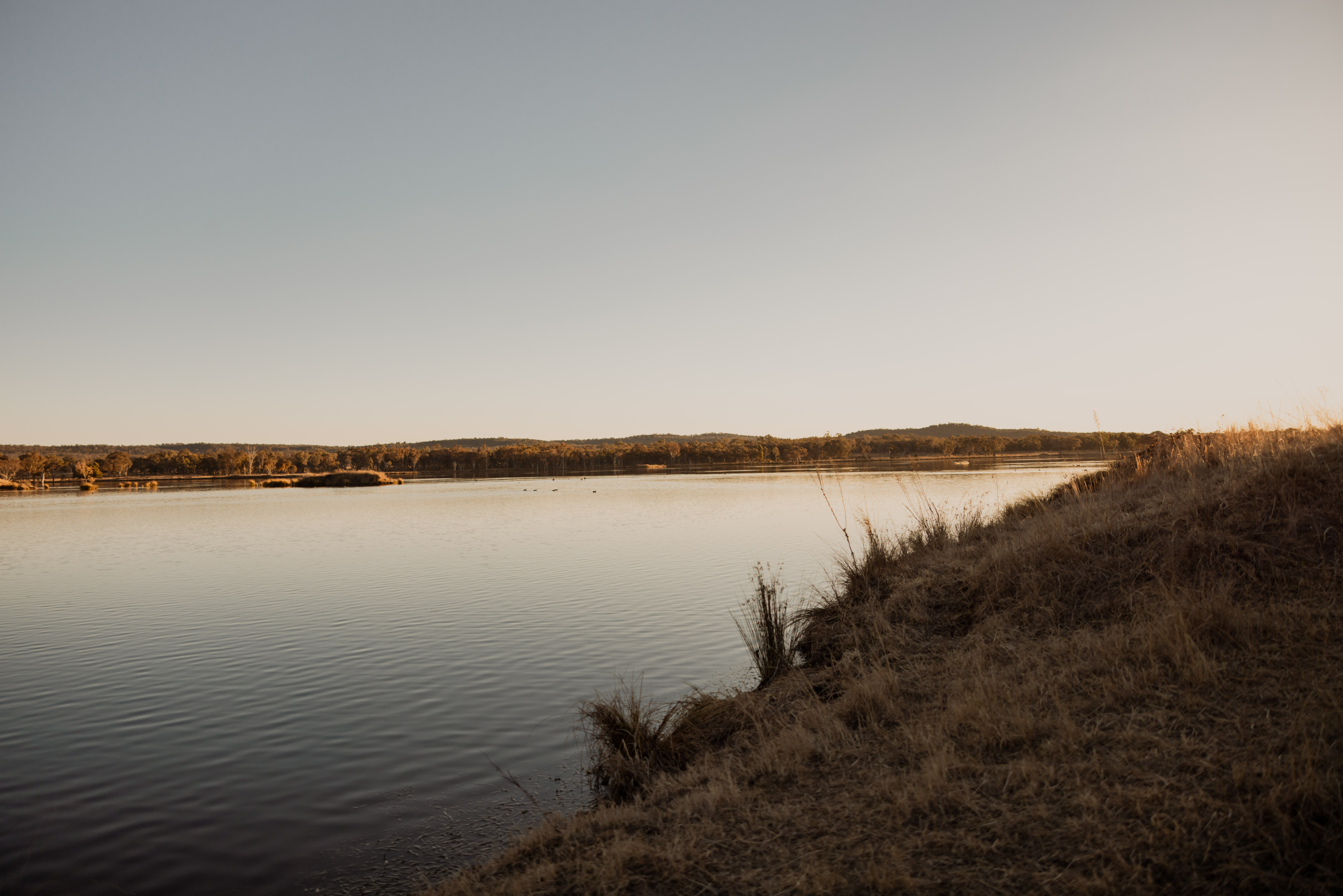 Quiet water and golden grasses in the regional landscape