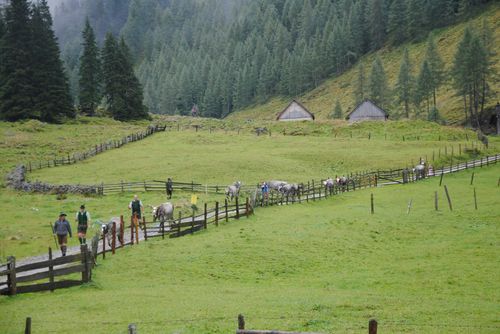 Leben unterm Himmelszelt – Almen im Sölktal