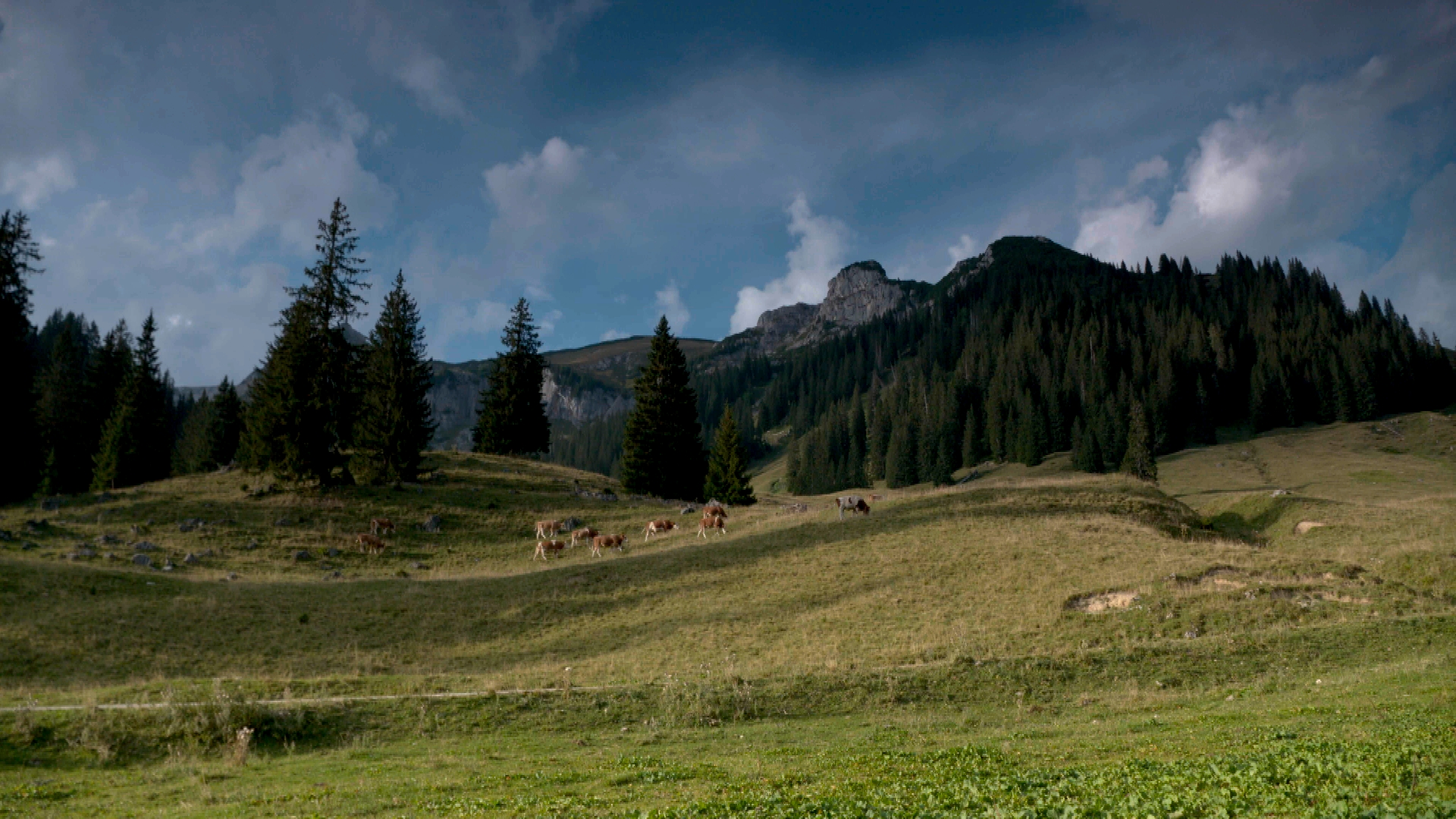 Frühling feiern - Zwischen Grundlsee und Gesäuse
