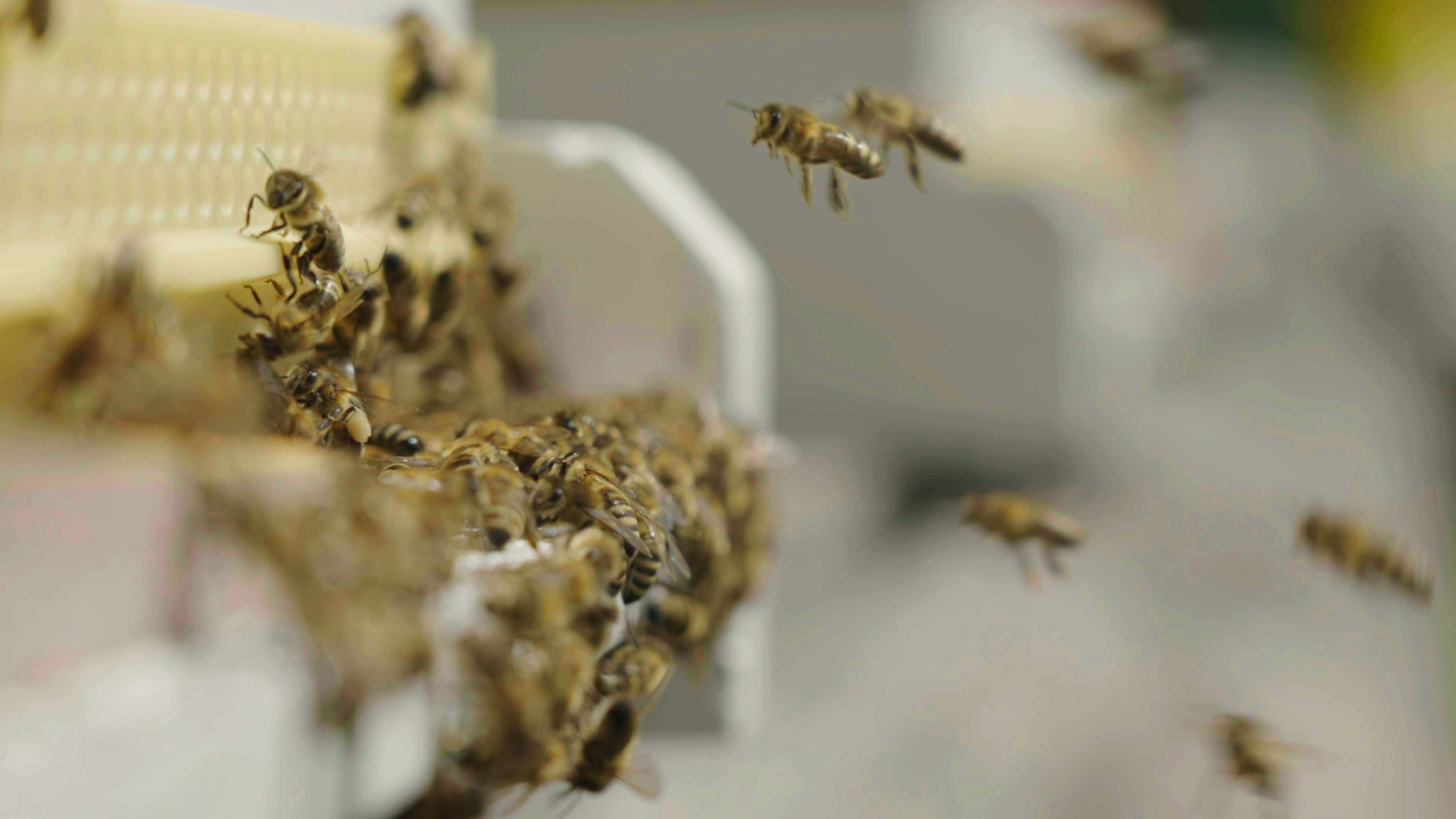 Österreichs schönste Täler I