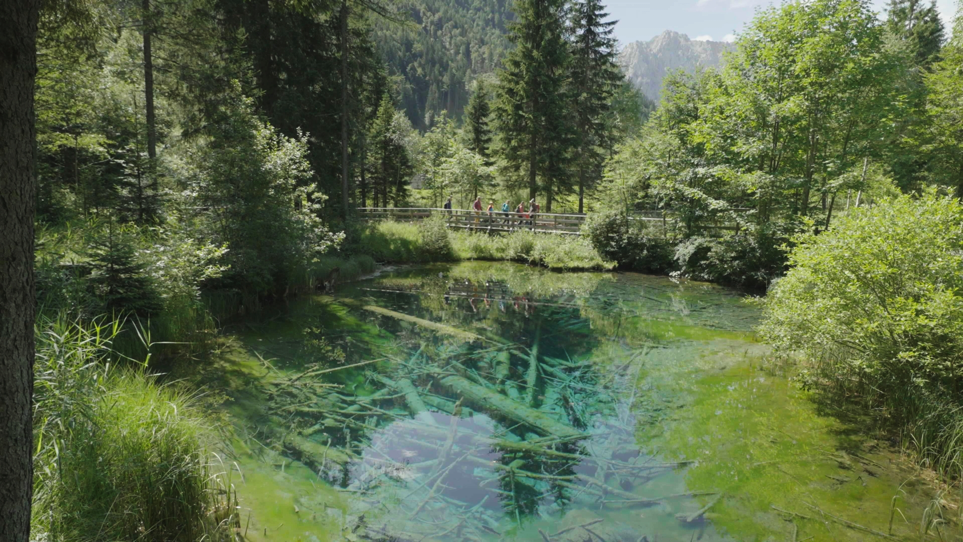 Österreichs schönste Täler I