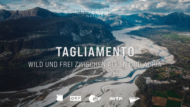 Tagliamento - King of The Alpine Rivers