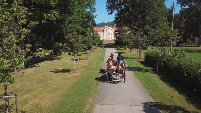 Traumschlösser und Ritterburgen