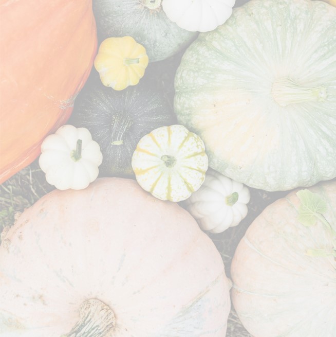 Assorted pumpkins and gourds in various colors and sizes arranged closely together.