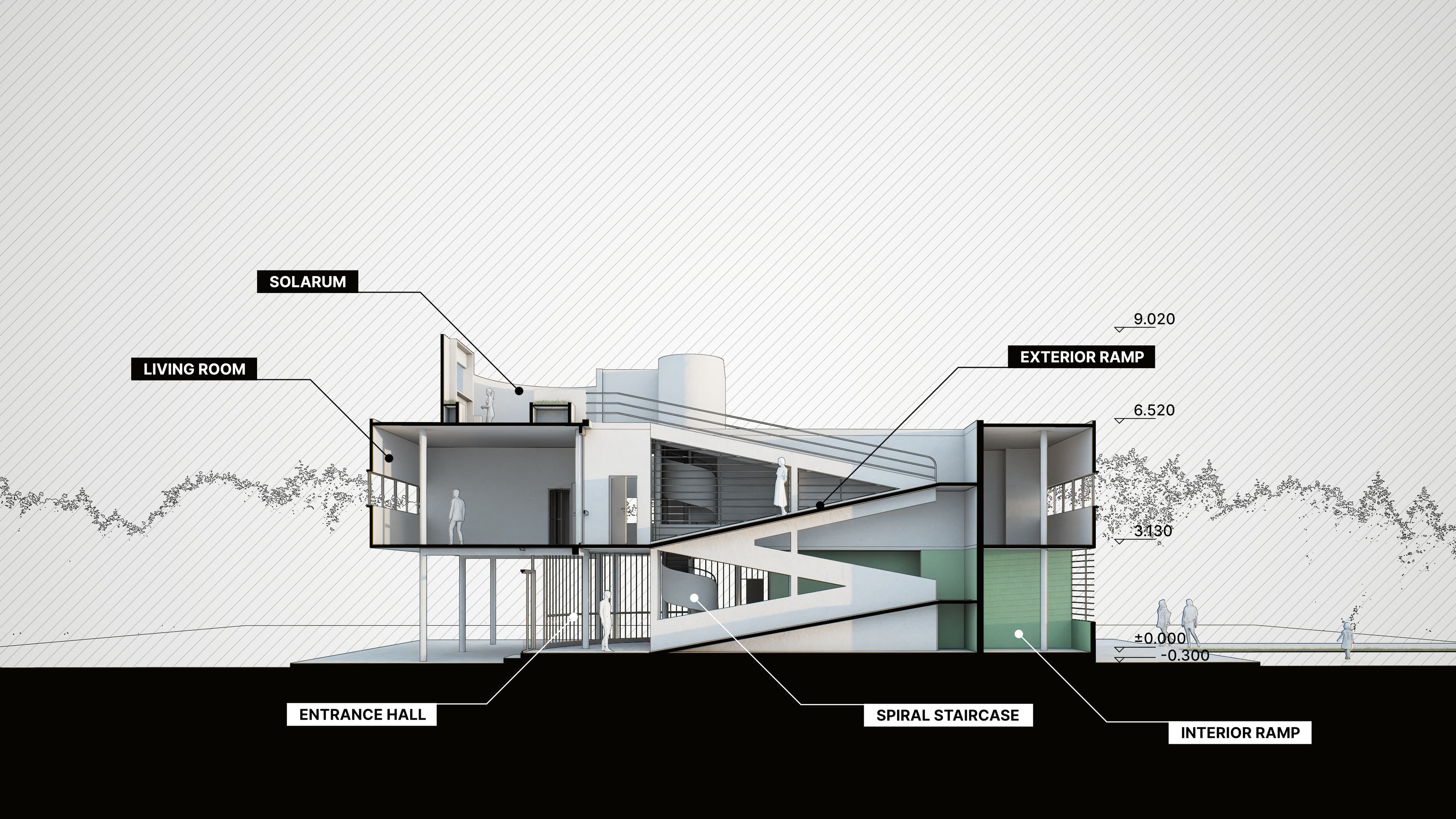 Section and parallel projection