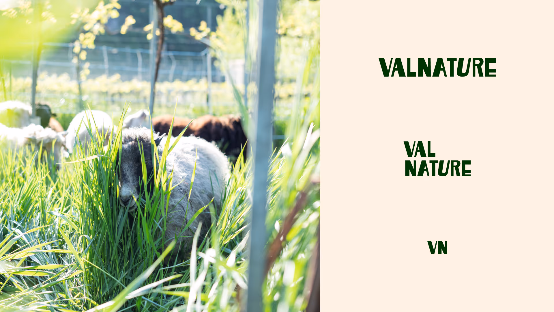 ValNature Etikettendesign, Webdesign und Markenbildung