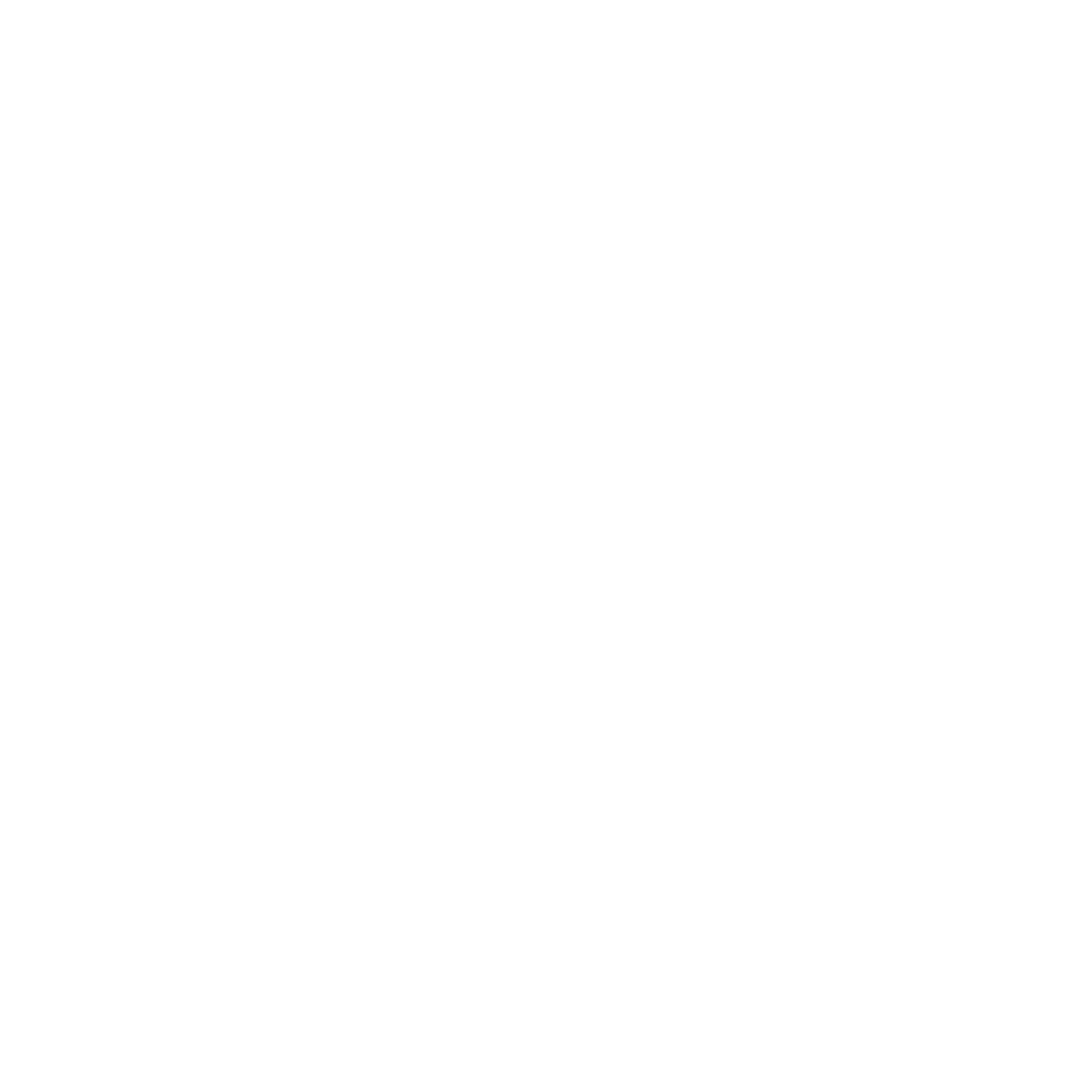 white email logo