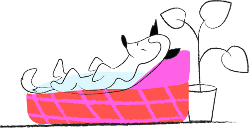 Barky descansando despreocupado