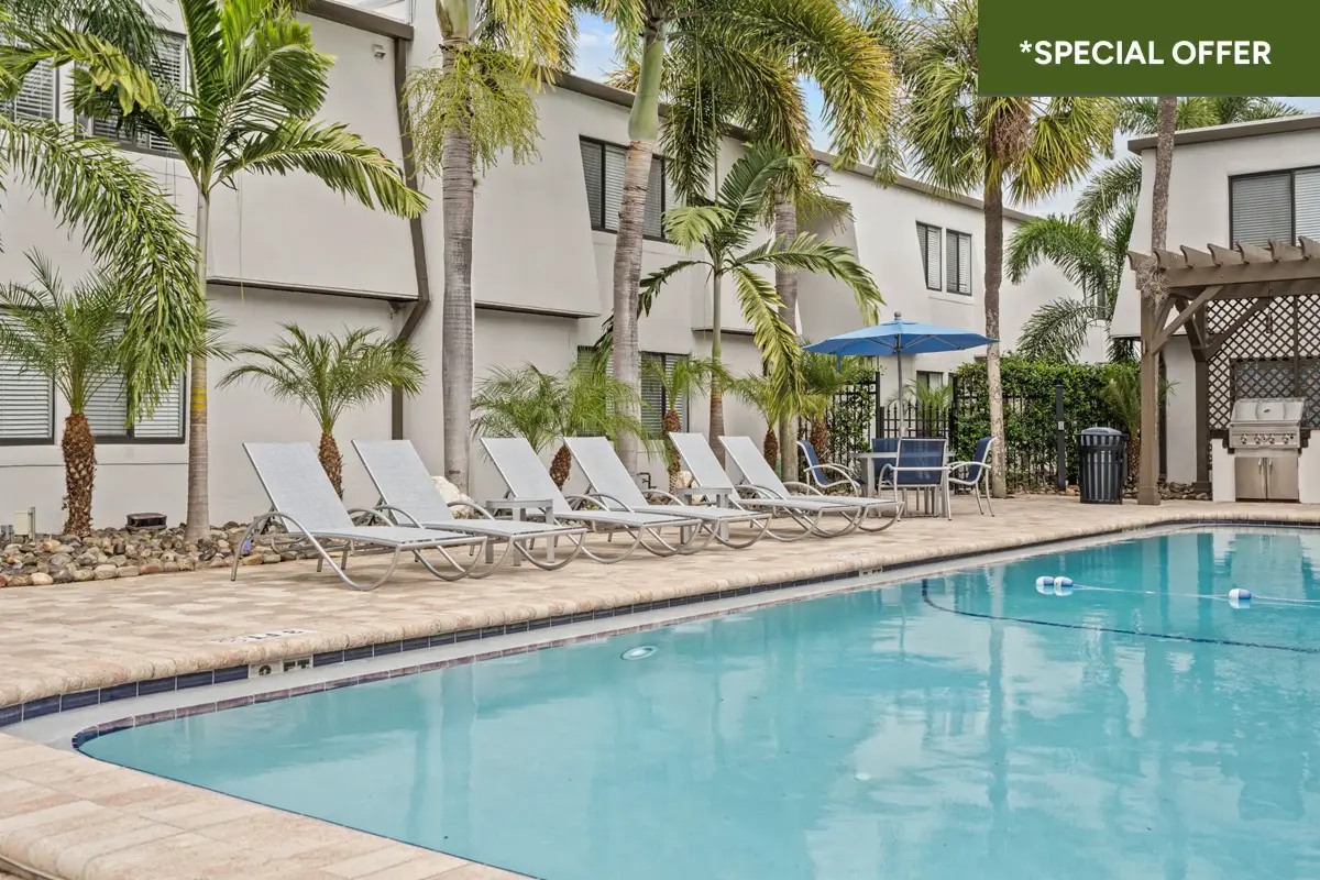 Chaise lounge chairs pool side with palm trees and white apartment building in the background with text overlay stating "*special offer."