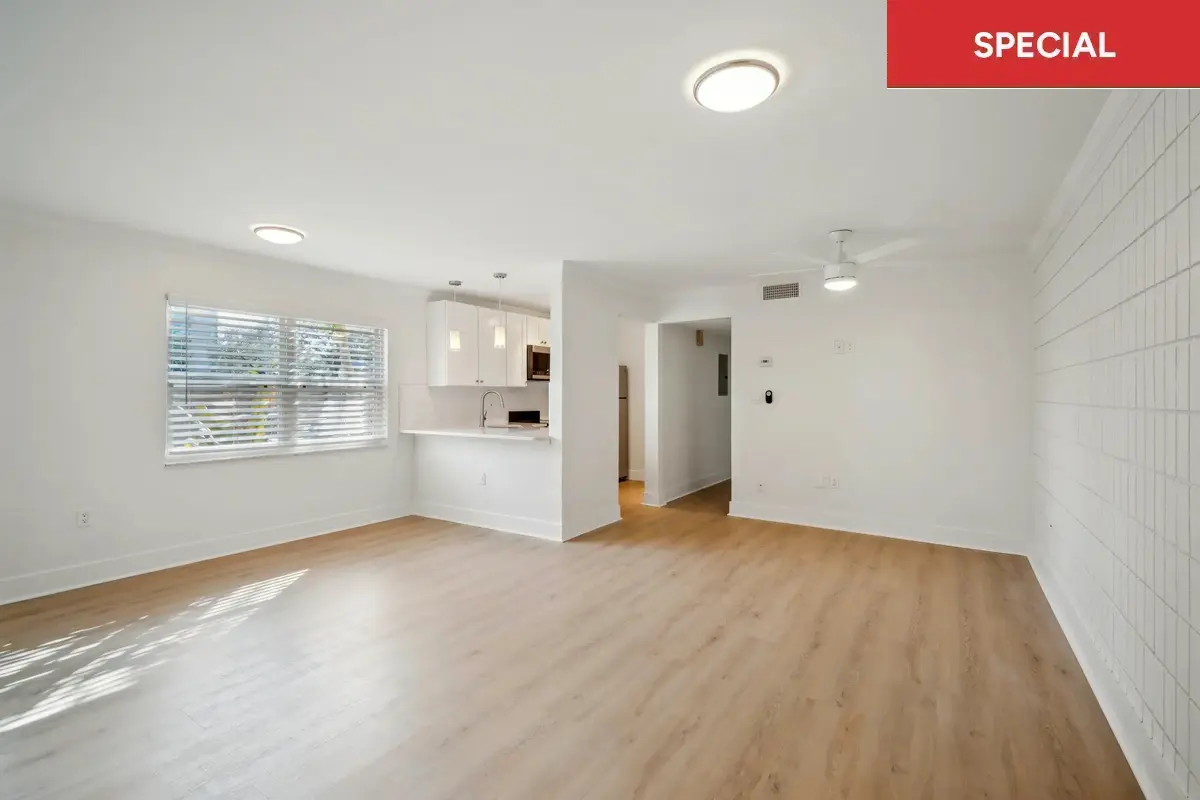 Open floor plan living room with white walls, wooden floors, window to the left, and kitchen on the opposite end of the room with text overlay stating "special."