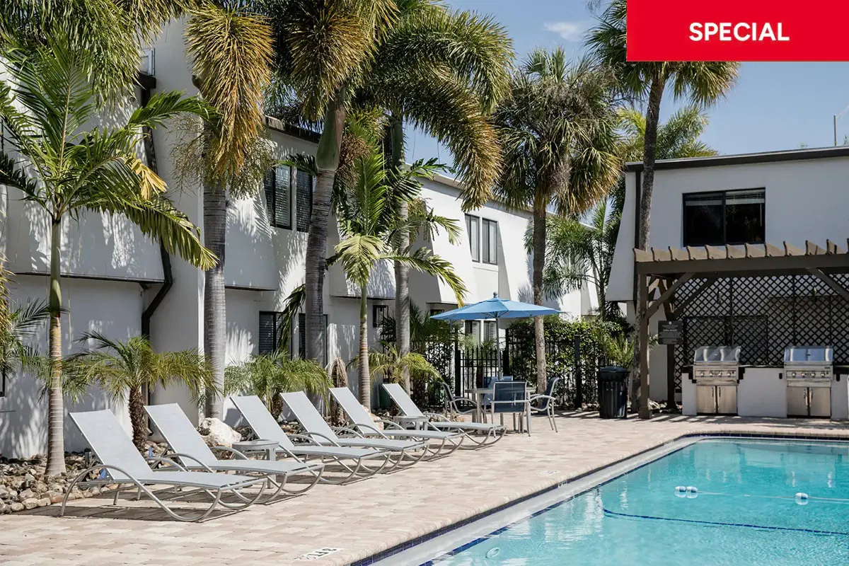 Outdoor apartment community pool surrounded by palm trees, lounge chairs, and a covered grilling pavilion on a sunny day with a red banner with text overlay stating "special."