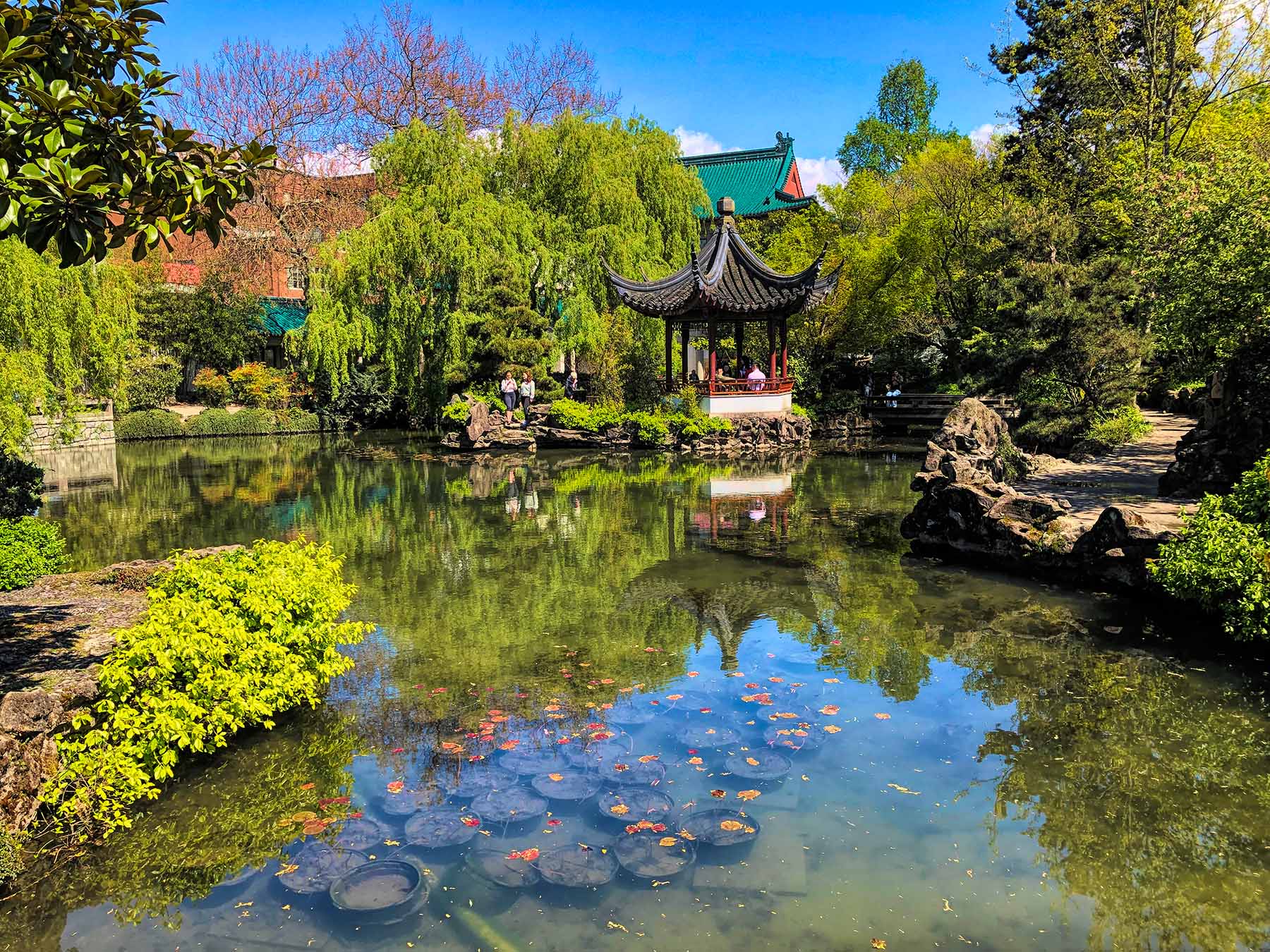 Vancouver Chinatown BIA Vancouver Chinatown BIA