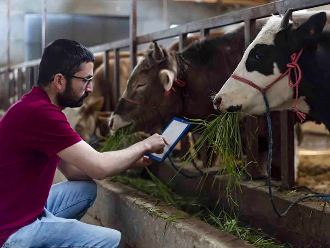 UK Invests £24 million on agri-tech projects